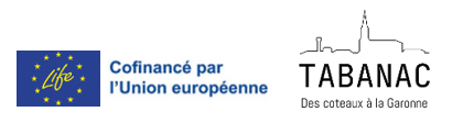 Europe & Tabanac 