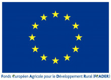 Logo UE pour le Développement Rural